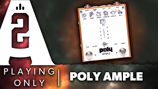 Poly Effects Ample Preamp Pedal - Playing Only Demo