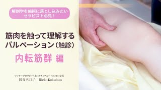 解剖学を施術に落とし込みたいセラピスト必見！筋肉を触って理解するセラピストのためのパルペーション（触察）方法！～ 内転筋群 ～