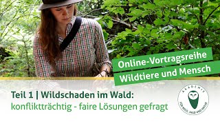 DJV-Online-Vortragsreihe „Wildtiere und Mensch“ | Teil 1: Wildschaden im Wald