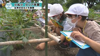 2023年7月18日Ｎトピ＋プラスNEWS