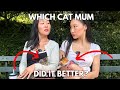 Asian cat mums be like 🐈😂