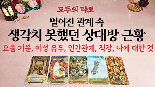 [타로] 상대방의 근황을 속속들이 알아보자!