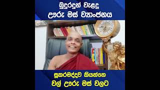 අපගෙ බෝසත් බුදුන් වහන්සේ වැළදූ රසවත් ඌරු මස් ව්‍යාංජනය #buduhamuduruwo #porkCurry #ඌරුමස් #සූකරමද්දව