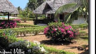 Karibuni Villas - Mambrui