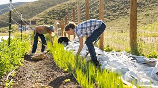 Building Community Through Food | The Huger Coalition