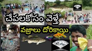 we hunt fishes in heavy water fall || మేము భారీ నీటి పతనంలో చేపలను వేటాడతాము