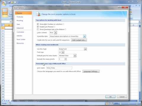 Displaying the Developer Tab in Excel 2007 Displaying the Developer Tab in Excel 2007