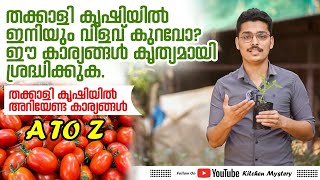 തക്കാളി കൃഷിയിൽ ഇനിയും വിളവ് കുറവോ, ഈ കാര്യങ്ങൾ കൃത്യമായി  ശ്രദ്ധിക്കുക | #KitchenMystery #DheKrishi