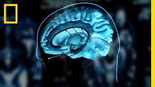 What is ADHD? | National Geographic