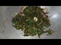 khapri gadhapurni saga recipe boerhaavia punarnava herbal saag odia saga bhaja recipe