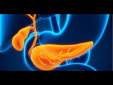 Heal your Pancreas Naturally with these Foods Heal your Pancreas Naturally with these Foods