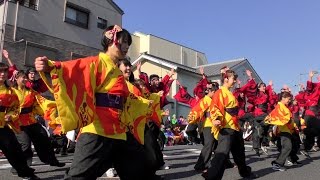 「7代目お茶ノ子祭々」バサカニ2016