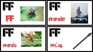 ஈ வரிசை சொற்கள்|words starting with ஈ|ஈ சொற்கள்|Tamil learning kids videos