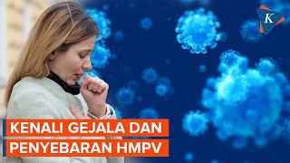 Wabah Metapneumovirus HMPV Mewabah di China, Gejala dan Penyebaran Mirip Covid-19