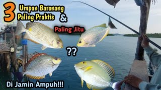 STRIKE GUARANTEED||3 Most Practical and Simple Accurate Fishing Bait for Baronang Fish