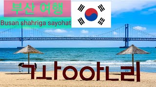 Koreya bo'ylab sayohat || Busan shahriga sayohat Kvangalli ko'prigi #한국여행 #korea #корея #부산여행 #광안리