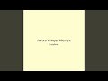 Aurora Whisper Midnight
