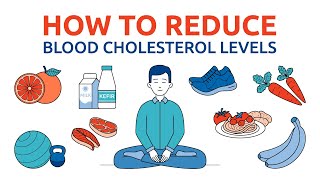 Best foods to lower cholesterol. Proper nutrition to lower cholesterol