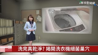 真相急先鋒|【洗衣機祕藏黴汙垢】洗完真乾淨? 揭開洗衣機細菌巢穴單| 2019.11.09 第39集