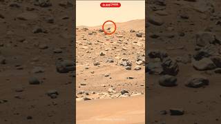 Mars view Perseverance @sciencedawn