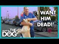 Dog has to be Saved from Violent Owner😳 | It’s Me or The Dog