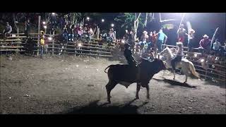 jaripeo ranchero celebrado en Ejido Ixcatepec, Ver. (ultimo dia de Jaripeo)