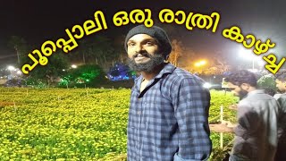 പൂപ്പൊലി ഒരു രാത്രി കാഴ്ച്ച /A night view of Wayanad flower show