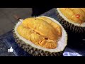 Mao Shan Wang Durian - Premium Durians from Malaysia