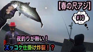 【春の尺アジ】 夜釣りが熱い！ ズッコケ仕掛け炸裂！？ #10