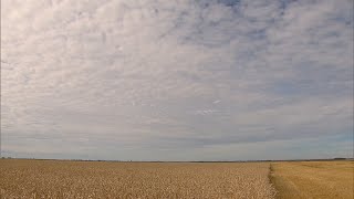 La semaine verte | L'agriculture régénératrice dans la mire des géants