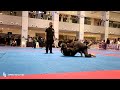 yman xavier m. baluyo asia pacific jiu jitsu championships gold male juvenile 15 to 17 69 kgs