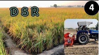 Direct seed rice crop (DSR) | Kisan \u0026 Farming | 9807745000 |