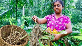 For breakfast we ate the most nutritious Arrowroot boiled .Village Kitchen recipe Sri Lanka