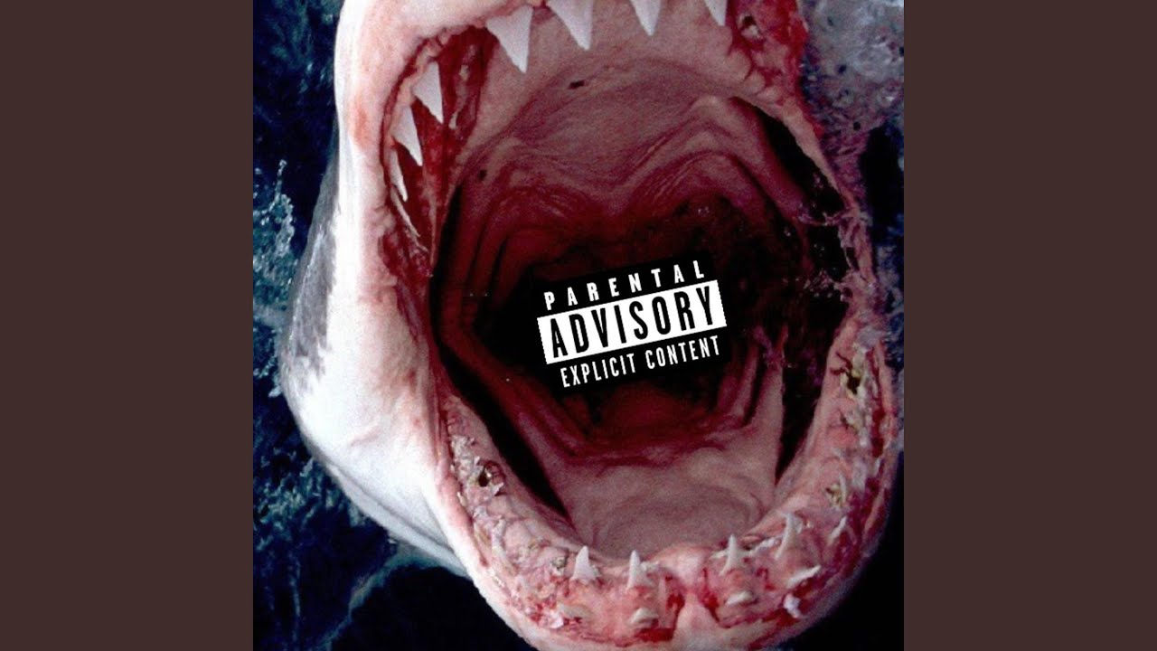 Shark Youtube