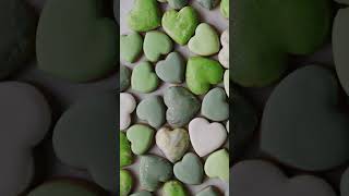 Video of a Green Heart Shape Free Stock Video Footage, Royalty Free 4K \u0026 HD Video Clip