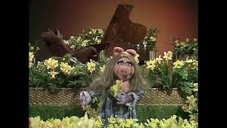 Muppet Songs: Miss Piggy and Rowlf - The Daffodils