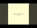 Shadow Star Harmony