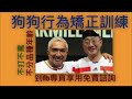 ep127 3制止狗狗亂咬東西的方法狗狗行為矯正訓練