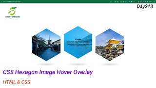 CSS Hexagon Image Hover Overlay