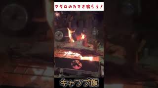 【キャンプ飯】マグロのカマ！