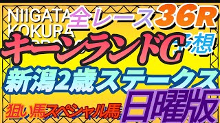 【競馬予想】8月27日 日曜日狙い目スペシャル馬発表、キーンランドC、新潟２歳S、全36レース予想【平場予想】