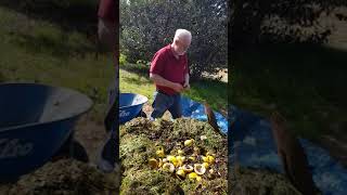 Hugh Lovel Biodynamic compost