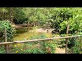 noor lake tirur nattupacha youtubevideo tirur noorlake