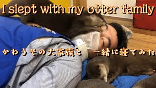 カワウソ大家族　I slept with my otter family　かわうその大家族と一緒に寝てみた