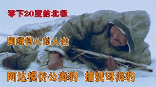 零下20度的北極，因紐特人模仿公海豹的叫聲，捕捉母海豹 #因紐特人 #北極 #都市傳說 #科學探索 #熱新毒者