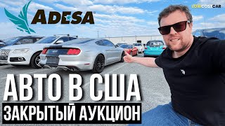 Обзор Закрытого Аукциона ADESA | Цены на Авто в США 2025 | Честный Обзор | Доставка по Всему Миру