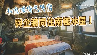 與企鵝同住南極冰屋！小琉球超搶手特色民宿　無邊際游泳池游到爽