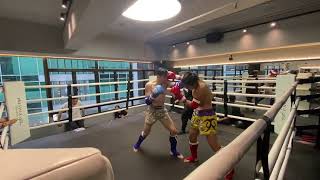 WBC Amateur Ranking Fights 2024 Chan Ho Tung 富德 VS 張嘉豐 Santichai Fitness 154lbs Male