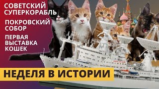 Неделя в истории: первая выставка кошек, флагман космического флота, Покровский собор/ Профайл