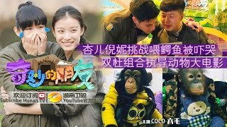 《奇妙的朋友》第9期: 倪妮杏儿大闹鳄鱼池 Wonderful Friends EP9: Myolie and Nini's Challenge Of Crocodile【湖南卫视官方版1080p】